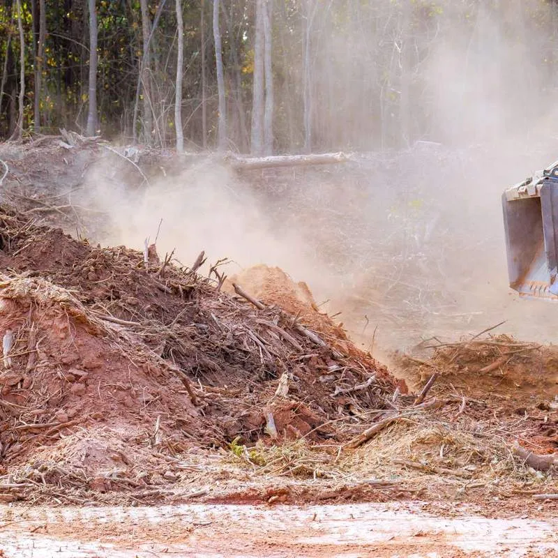 Commercial land clearing and site prep on a Gainesville, FL development lot