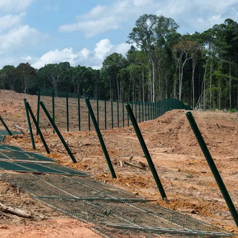 Freshly cleared land bordering dense tree cover after a forestry mulching project