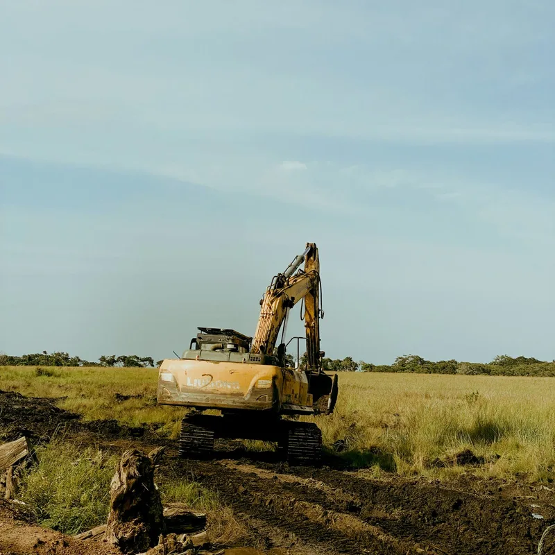 Excavator clearing overgrown land on a rural property near Gainesville, FL