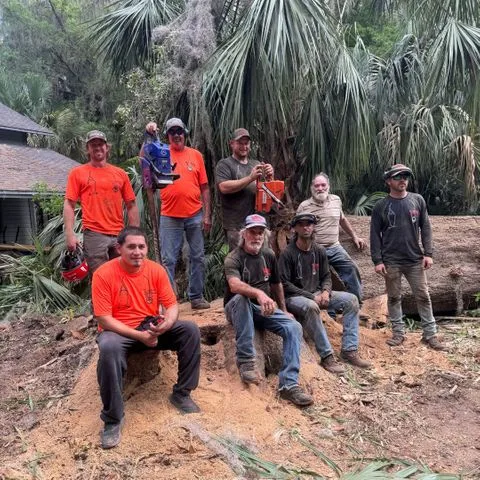The Wood Doctor crew standing in front of palm trees after a trimming job in Gainesville, FL