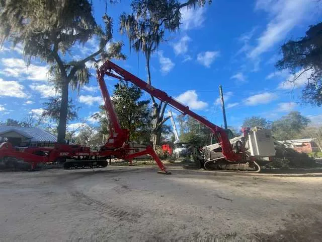 Forestry mulching equipment clearing a wooded development lot in Gainesville, FL