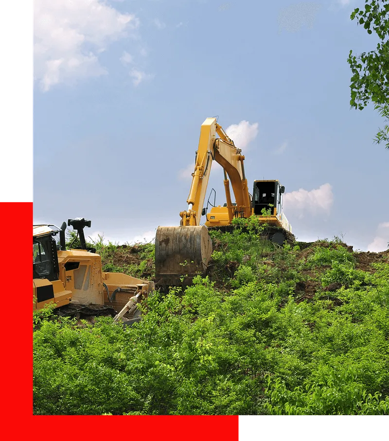 Crew performing lot clearing on a wooded development site in Gainesville, Florida, with cleared land ready for construction