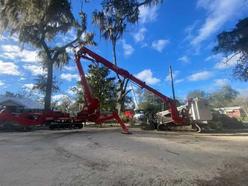 A tree crew prepping trees for hurricane season on a property in Gainesville, FL