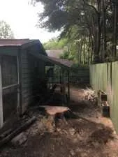 Tree removal job