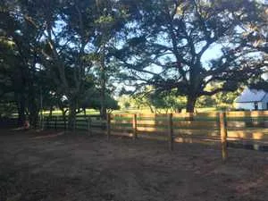 Neighbor's tree limbs over a property line in Gainesville, FL