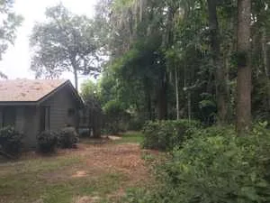 Land clearing on a property