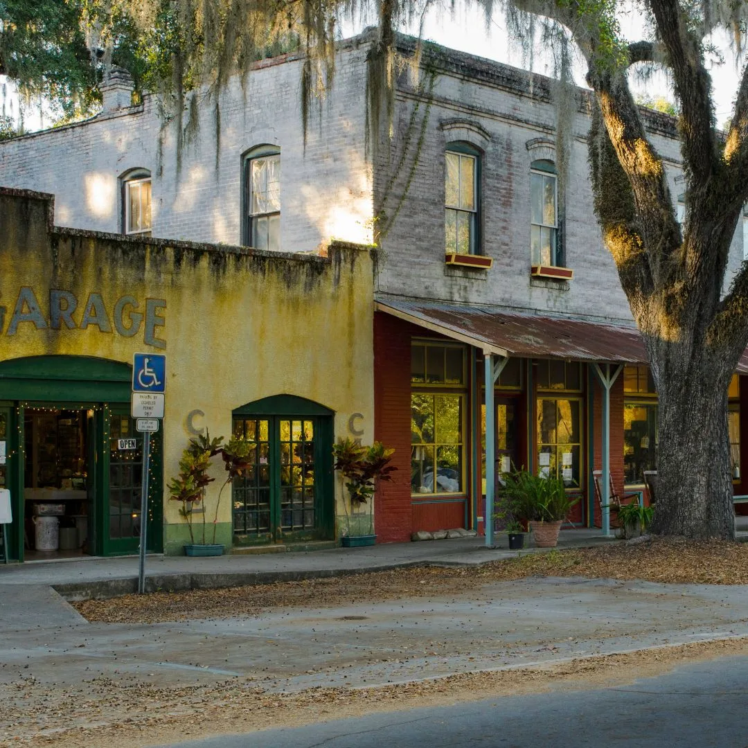 Tree and land service on a Micanopy, FL property — The Wood Doctor Tree Service