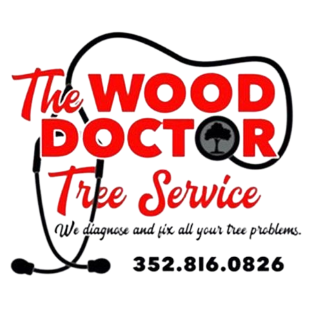 The Wood Doctor Tree Service — Gainesville, FL