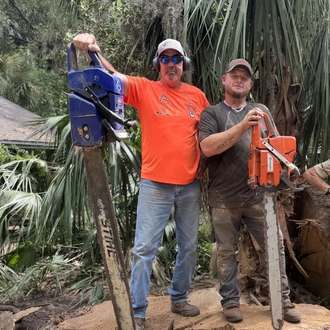 The Wood Doctor Tree Service — proudly serving North Central Florida